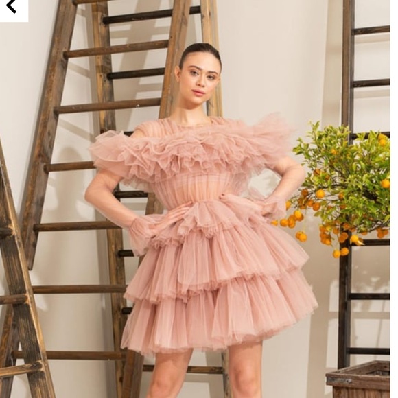 Elegant Pink Ruffled Long Sleeve Dress - Picture 6 of 7